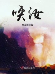 ������������ȫ������Ķ�