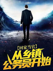 回家当官:从乡镇公务员开始全文免费阅读